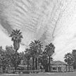 Palms Motel